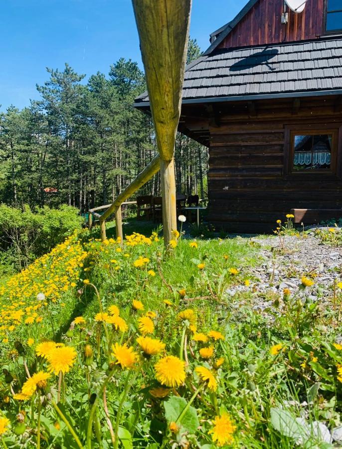Vila Drevenica Uhorcik Terchová Exteriér fotografie